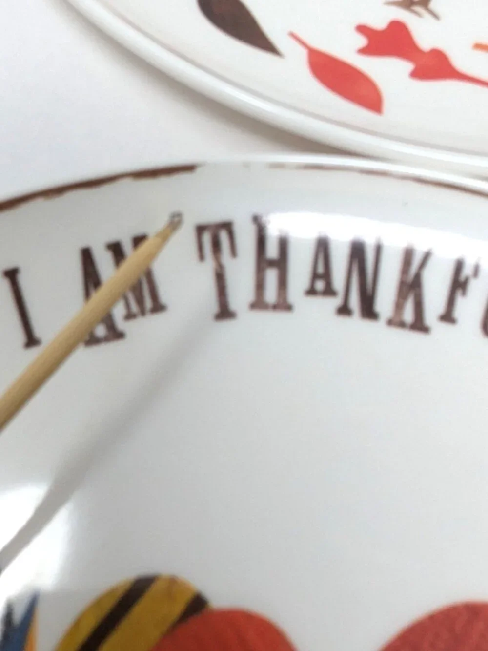 Pottery Barn Kids Thanksgiving Melamine Plates 